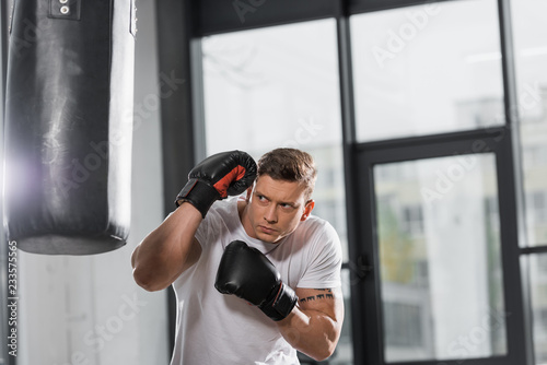 handsome muscular boxer exercising with punching bag in gym © LIGHTFIELD STUDIOS