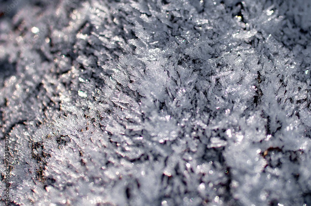 ice crystals on tree bark ice crystals on tree bark