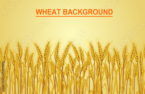 Wheat on the yellow background in the left hand corner has space for text input. cartoon vector illustrations