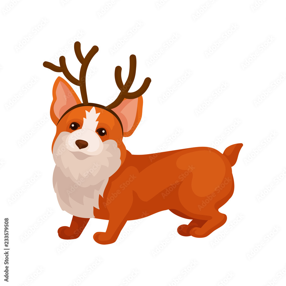 Funny corgi dog with reindeer horn hoop. Adorable home pet. Domestic animal. Flat vector element for postcard Funny corgi dog with reindeer horn hoop. Adorable home pet. Domestic animal. Flat vector element for postcard