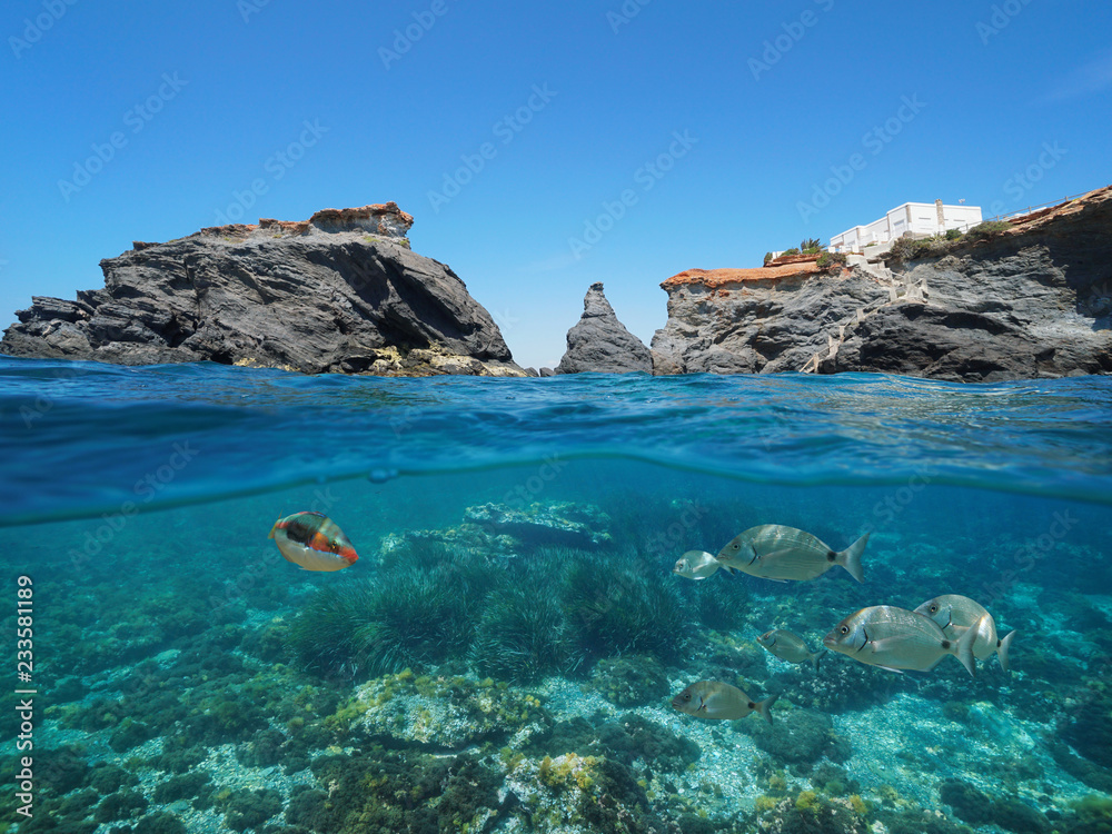 Rocky coast with fish underwater, split view half above and below water surface, Mediterranean sea, Cabo de Palos, Cartagena, Murcia, Spain
