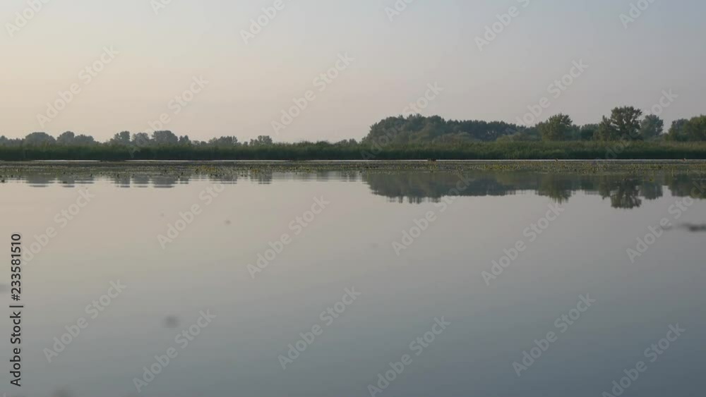 Calm Water Surface Of The Lake In The Morning