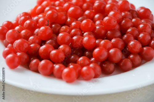 Sour red juicy organic vegetarian viburnum berries on white round porcelain plate with blurred neutral table cloth. Food ingredient for cooking source. Red healthy freshness dessert