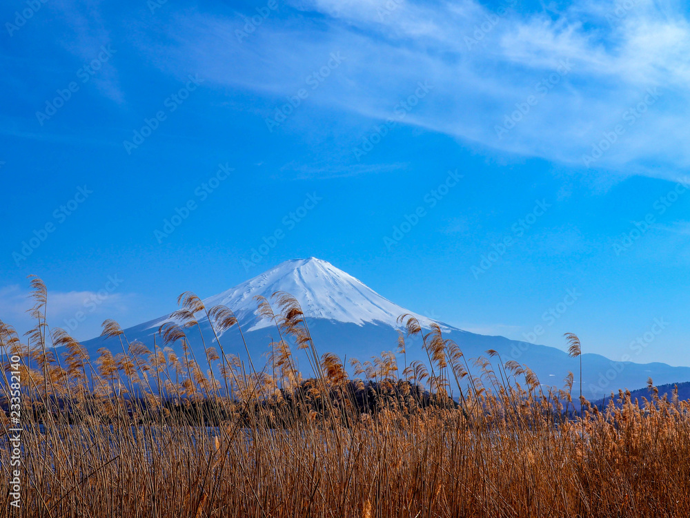 Fototapeta premium Fuji mountain background,Japan