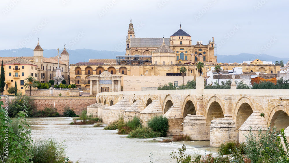 Roman bridge of Cordoba with the cathedral mosque in the background