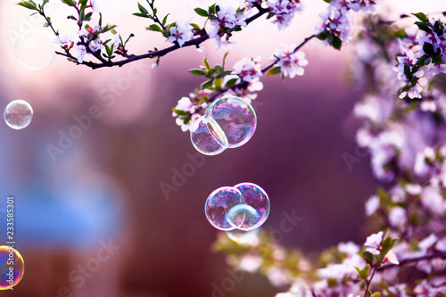 festive beautiful background with flying soap bubbles shimmering in the sun i...