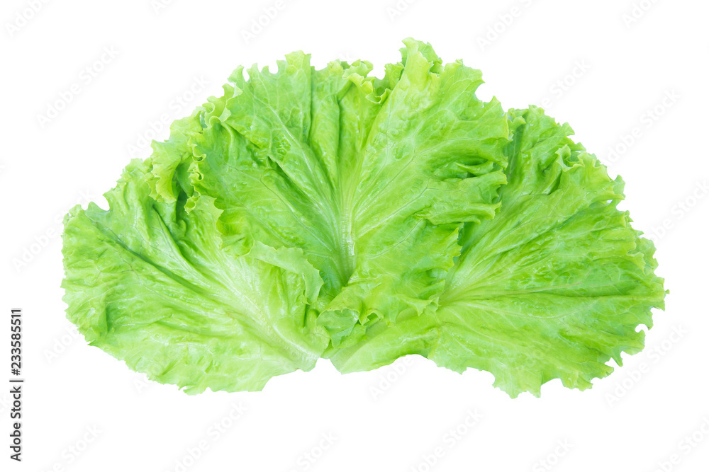 Salad leaf. Lettuce isolated on white background with clipping path Salad leaf. Lettuce isolated on white background with clipping path