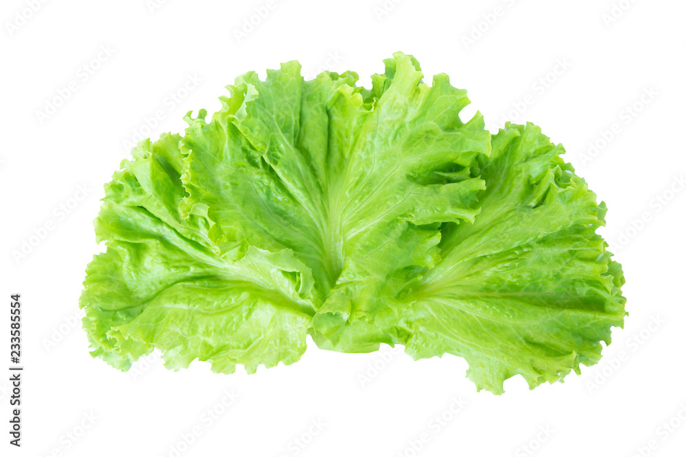 Salad leaf. Lettuce isolated on white background with clipping path Salad leaf. Lettuce isolated on white background with clipping path