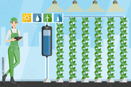 Woman farmer with digital tablet in greenhouse with vertical gardens. Smart farm with wireless control. Vector illustration.