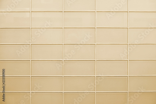 Modern beige glass brick wall background