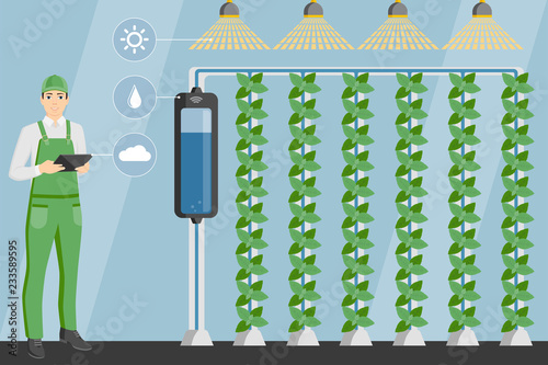 Farmer with digital tablet in greenhouse with vertical gardens. Smart farm with wireless control. Vector illustration.