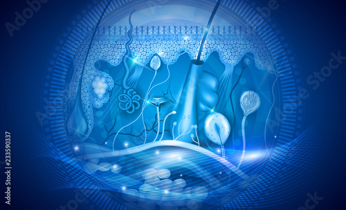 Skin anatomy detailed structure abstract blue backdrop design