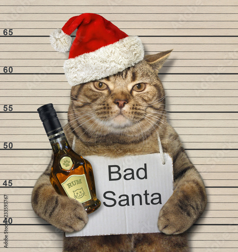 The cat in a red hat with a bottle of rum was arrested. There is a poster on his neck. Bad Santa.