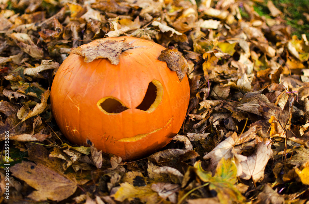 Carved Pumpkin Face with Pile of Dried Leaves