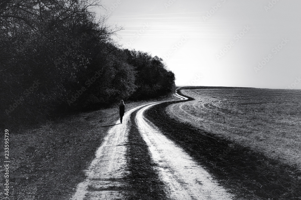 Beautiful countryside landscape with road ,between forest and field , in Dobrogea land, Romania. Black and white image. Beautiful countryside landscape with road ,between forest and field , in Dobrogea land, Romania. Black and white image.