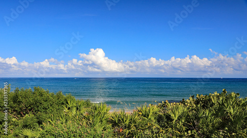 Beautiful calm ocean with cumulus clouds, as seen from Singer Island, Florida, with natural vegetation on the sand dune.
