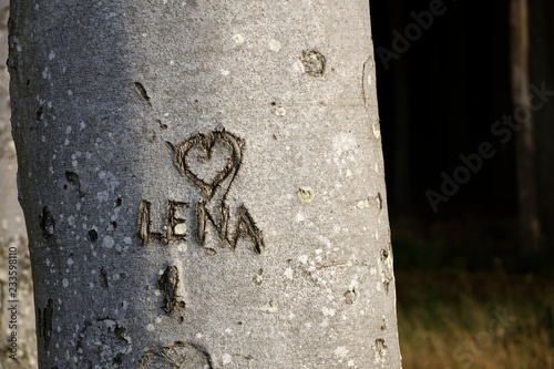 Lena mit Herz im Baumstamm photo