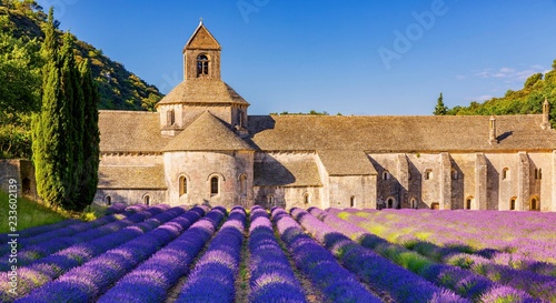 The Romanesque Cistercian Abbey of Notre Dame of Senanque set amongst flowering lavender fields, near Gordes, Provence, France, Europe photo