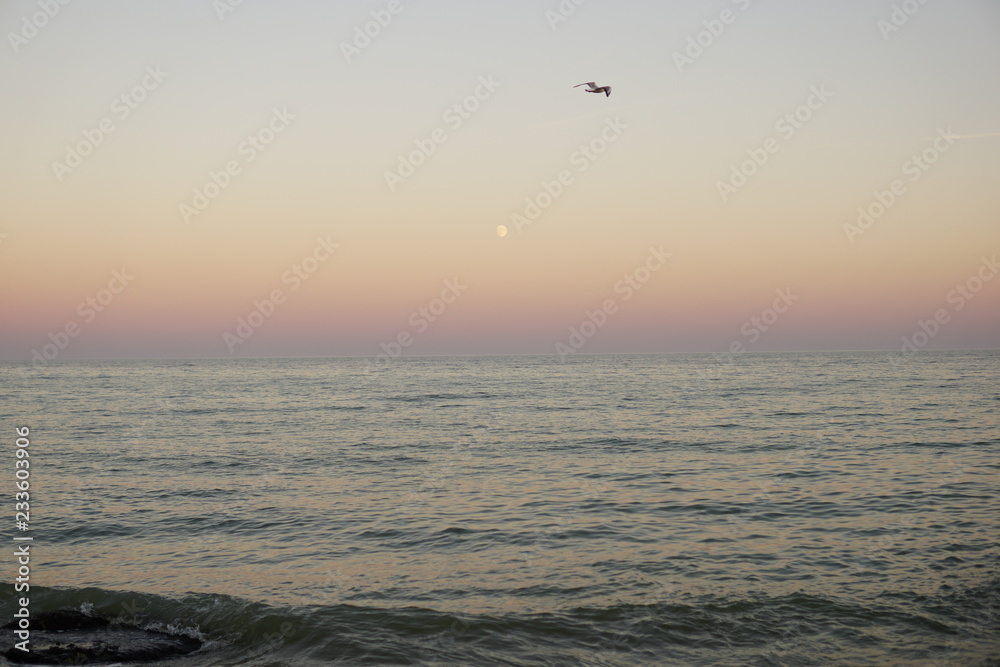 sunset at the sea