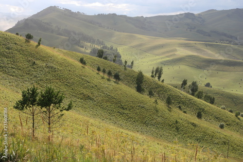 landscape in tuscany