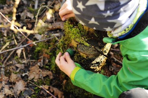 geocaching boy finds a geocache hidden in the forest photo