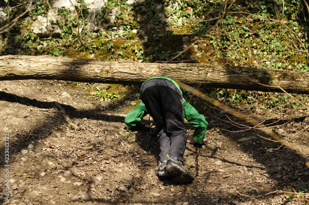 a boy is looking for his way while hiking under a tree in a thicket a boy is looking for his way while hiking under a tree in a thicket