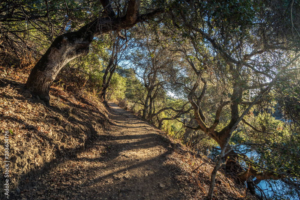 Hiking and Biking Trail Around Water Dog Lake is Illuminated in the Warm Sunrise Light, Water Dog Park, Belmont, California Hiking and Biking Trail Around Water Dog Lake is Illuminated in the Warm Sunrise Light, Water Dog Park, Belmont, California