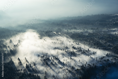 aerial photo landscape forest misty morning