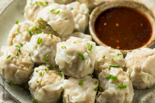 Homemade Pork Shu Mai Dumplings photo