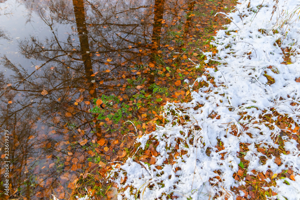 The first autumn snow and reflection of trees in a puddle on a footpath in the old park The first autumn snow and reflection of trees in a puddle on a footpath in the old park