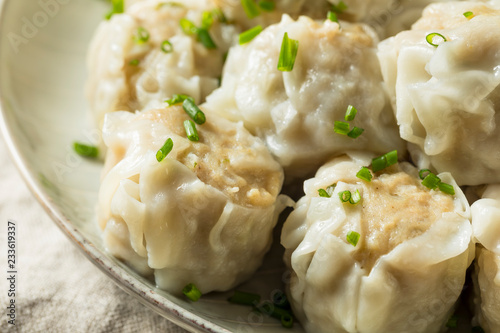 Homemade Pork Shu Mai Dumplings photo