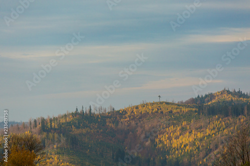 Fototapeta Naklejka Na Ścianę i Meble -  Beautiful polish autumn woods landscape