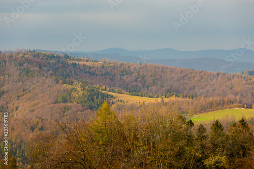 Fototapeta Naklejka Na Ścianę i Meble -  Beautiful polish autumn woods landscape