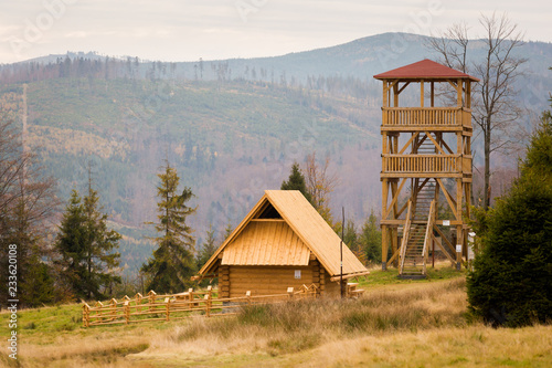Fototapeta Naklejka Na Ścianę i Meble -  Beautiful polish autumn woods landscape