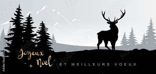 CARTE JOYEUX NOËL ET MEILLEURS VOEUX