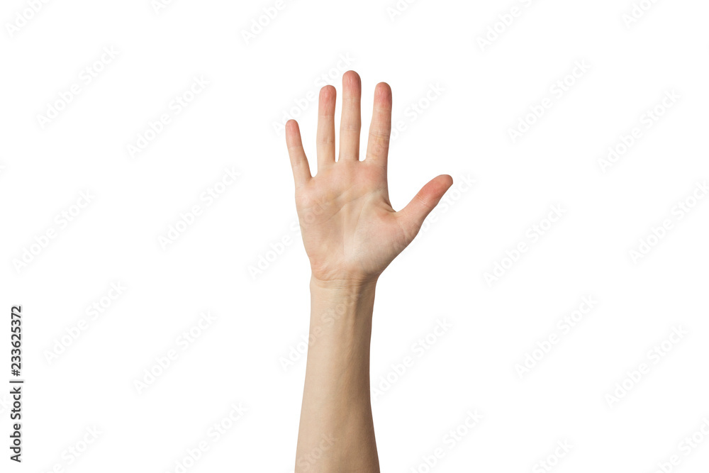 Female palm raised up on a white background. Stop gesture. Concept stop someone, warn Female palm raised up on a white background. Stop gesture. Concept stop someone, warn