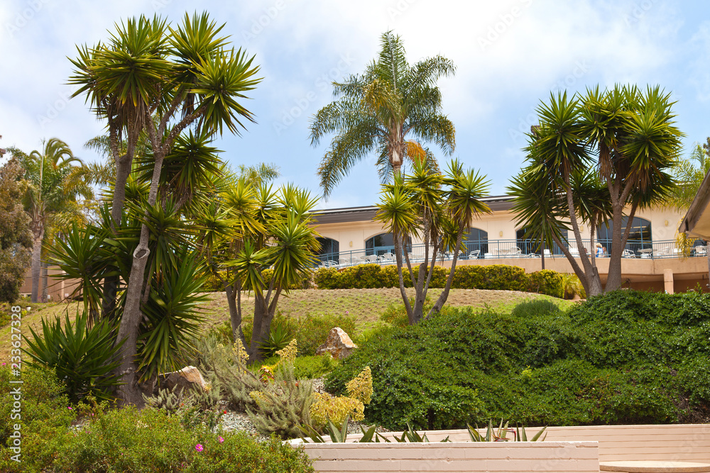 Tropical garden in Point Loma California.