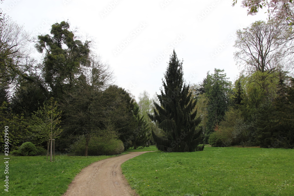 Spring landscape (photo Czech Republic, Europe) Spring landscape (photo Czech Republic, Europe)