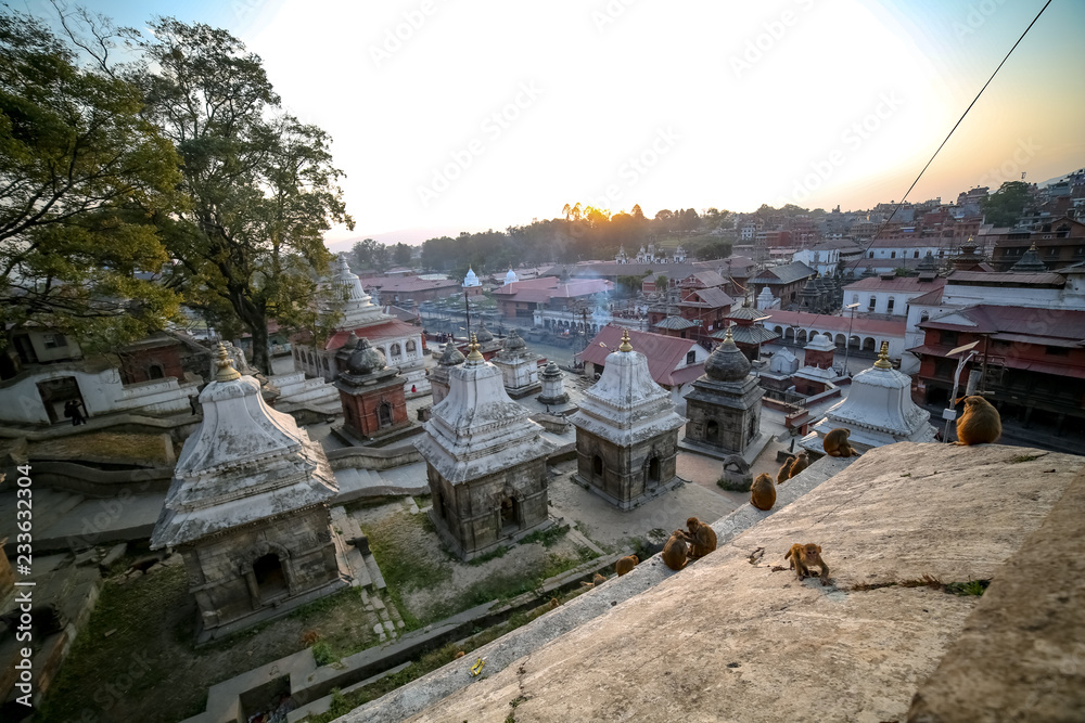 Monkeys and Pashupatinath Temple premises in Kathmandu, Nepal