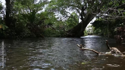 Close up of a calm river flowing in the jungle of Veracruz, Mexico