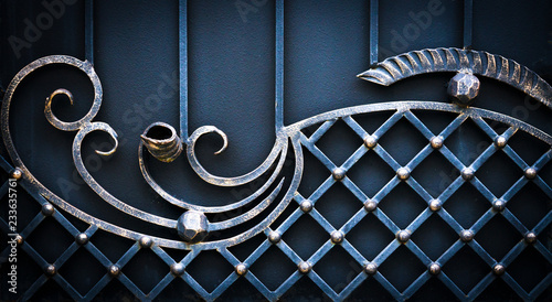 Beautiful decorative metal elements forged wrought iron gates.