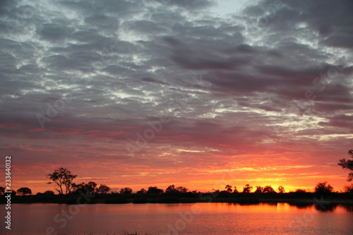 safari Botswana