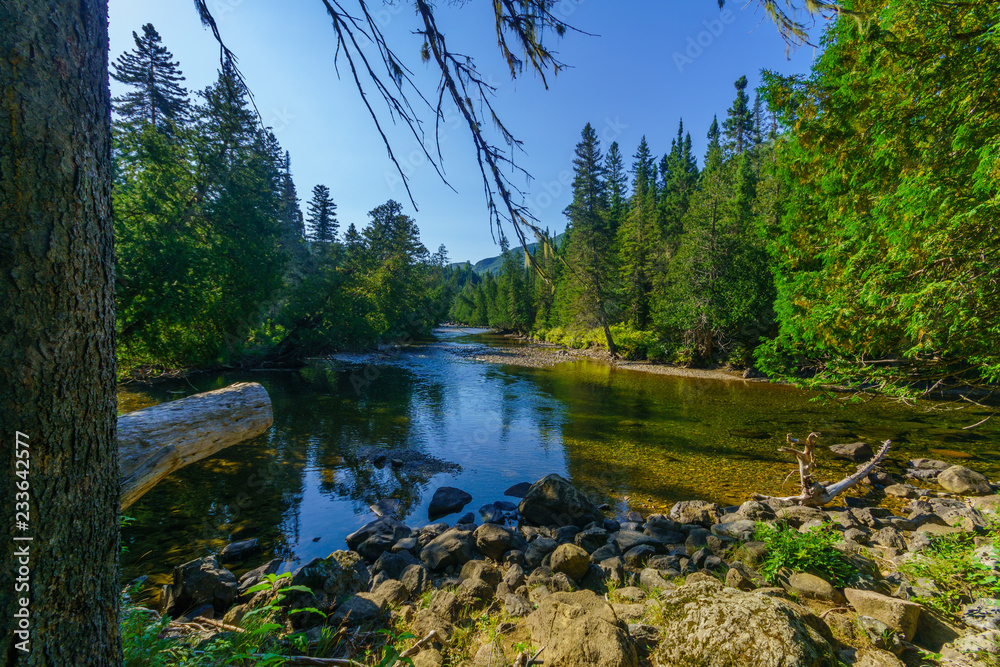 Sainte-Anne-du-Nord River, in Gaspesie National Park Sainte-Anne-du-Nord River, in Gaspesie National Park
