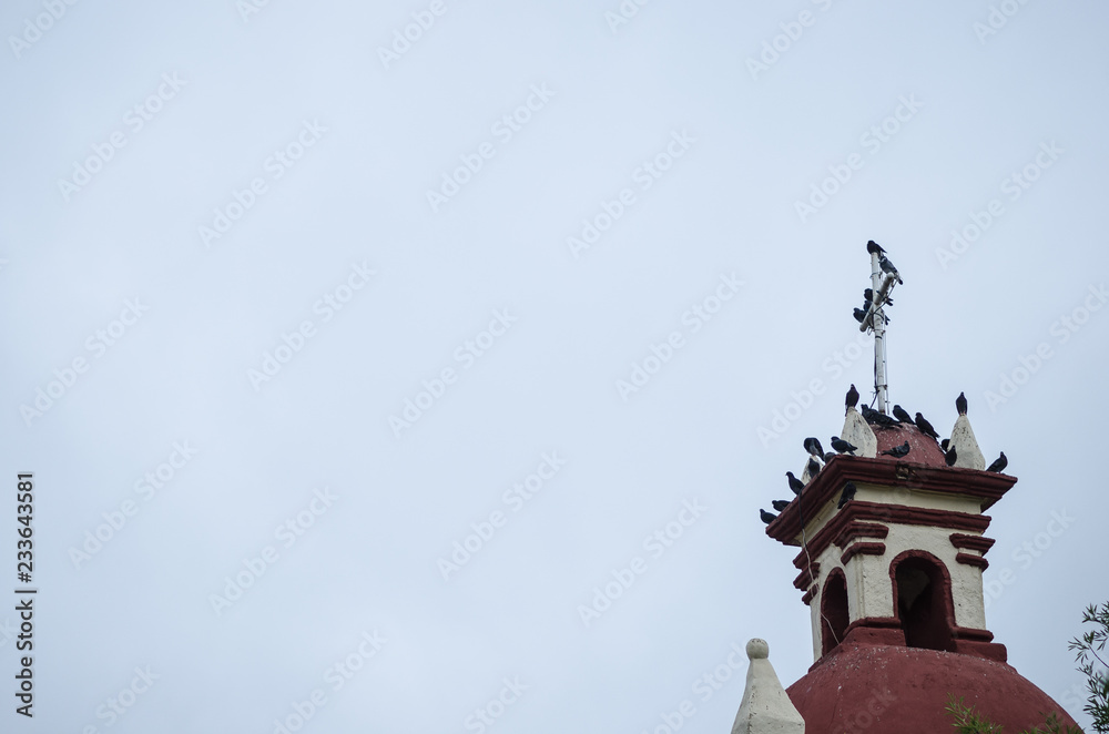 group of pigeons standing on the tower of an ancient church, doves resting from long flight, space for text