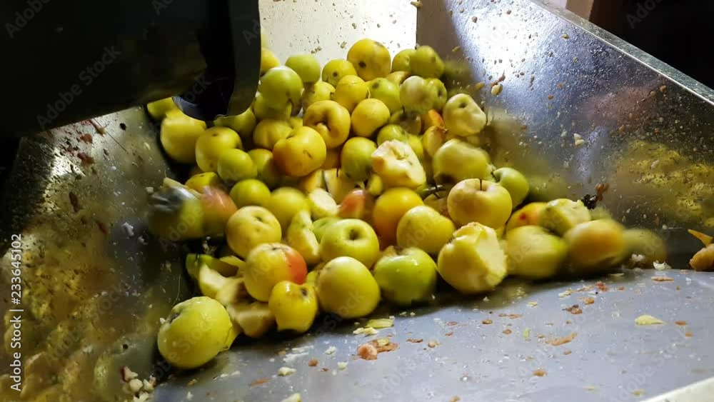 préparation artisanale jus de pomme