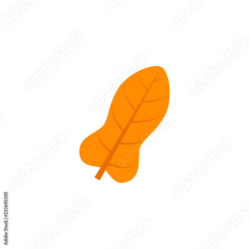 pandurate leaf flat icon
