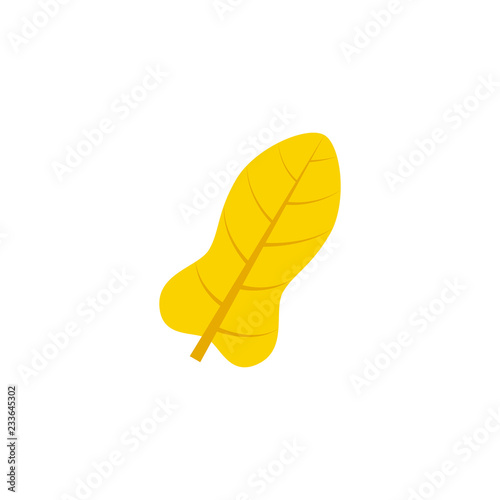 pandurate leaf flat icon