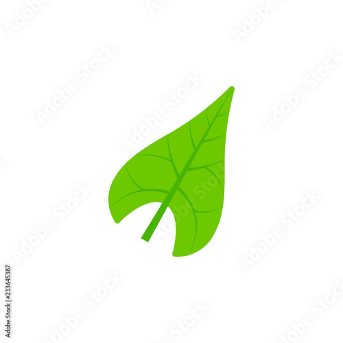 sagittate leaf flat icon