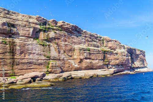 Cliffs and birds in the Bonaventure Island