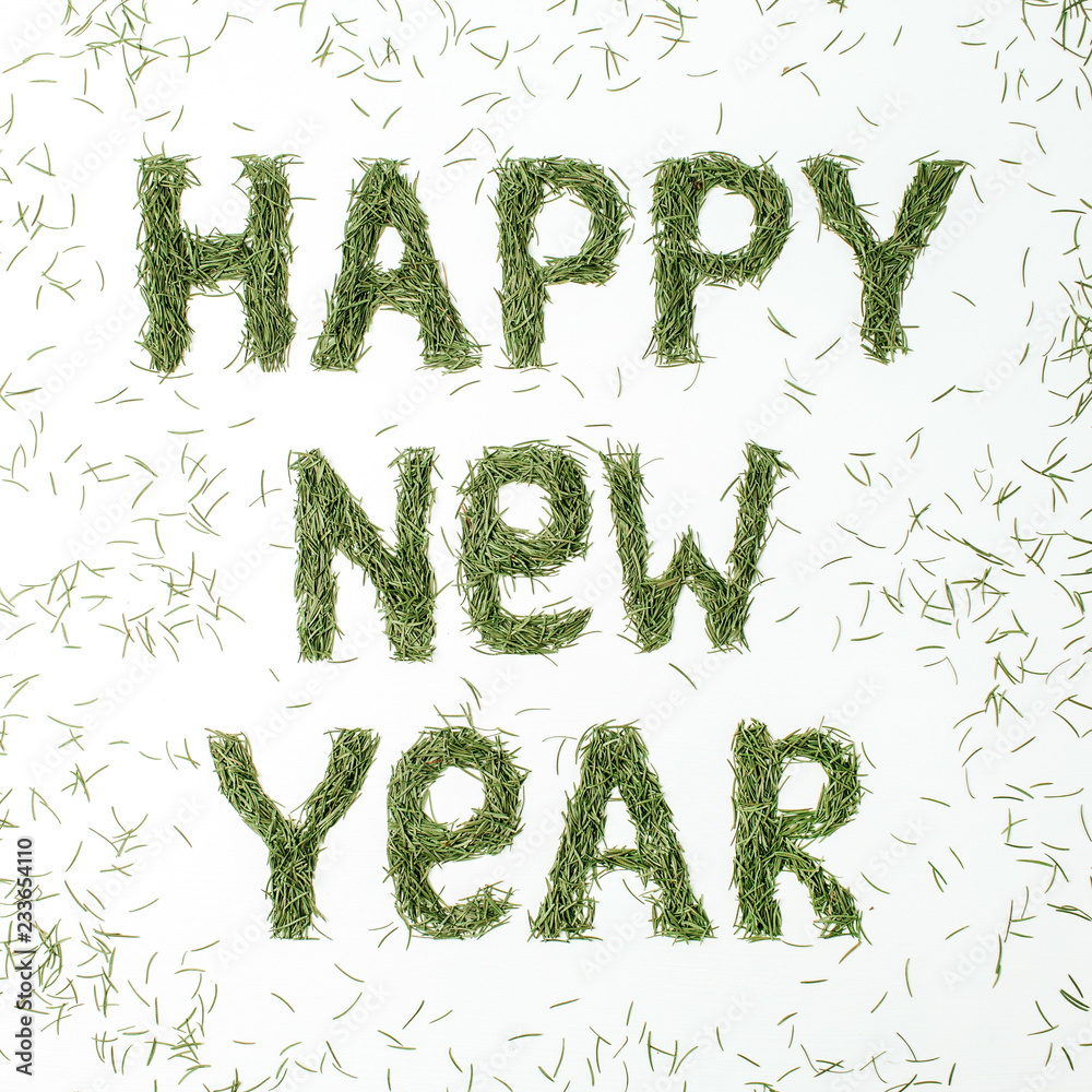 Quote HAPPY NEW YEAR made of conifer needles on white background. Flat lay, top view New Year composition. Quote HAPPY NEW YEAR made of conifer needles on white background. Flat lay, top view New Year composition.